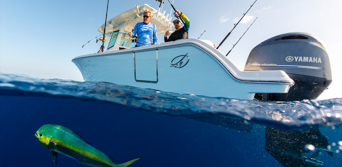 How to Rig Your Boat for Sailfishing